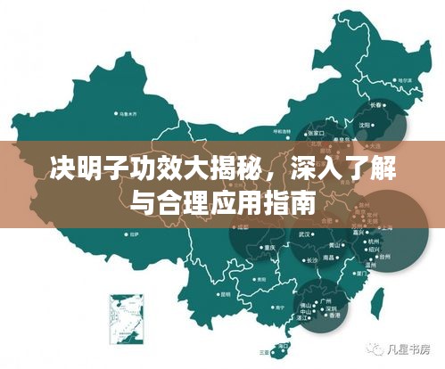 決明子功效大揭秘，深入了解與合理應(yīng)用指南