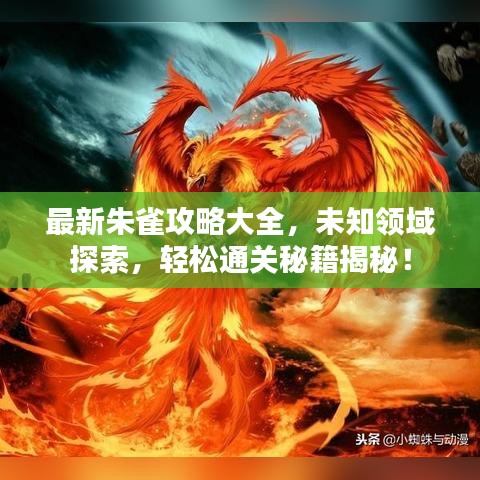 最新朱雀攻略大全，未知領(lǐng)域探索，輕松通關(guān)秘籍揭秘！