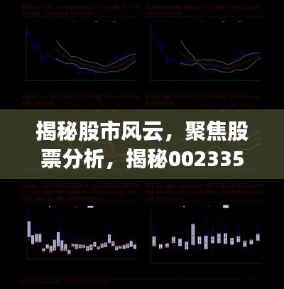 揭秘股市風(fēng)云，聚焦股票分析，揭秘002335股票動(dòng)態(tài)與前景展望