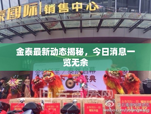 金泰最新動態(tài)揭秘，今日消息一覽無余