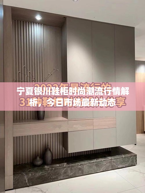 寧夏銀川鞋柜時(shí)尚潮流行情解析，今日市場最新動態(tài)