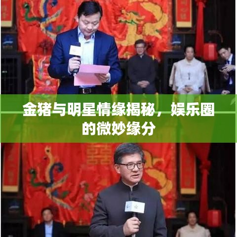 金豬與明星情緣揭秘，娛樂(lè)圈的微妙緣分
