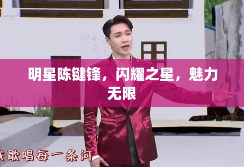 明星陳鍵鋒，閃耀之星，魅力無限
