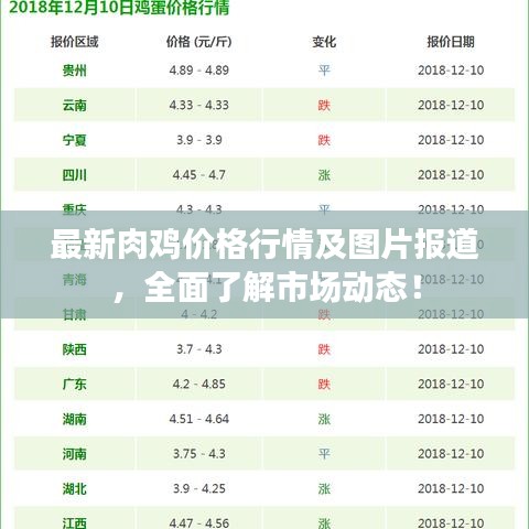 最新肉雞價格行情及圖片報道，全面了解市場動態(tài)！