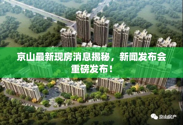 京山最新現(xiàn)房消息揭秘，新聞發(fā)布會重磅發(fā)布！